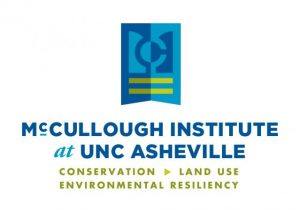 McCullough Institute logo