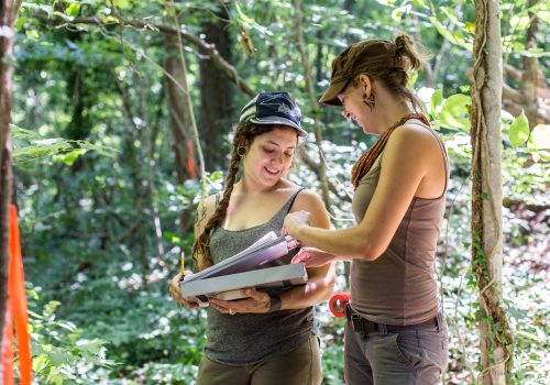 Two students in the woods